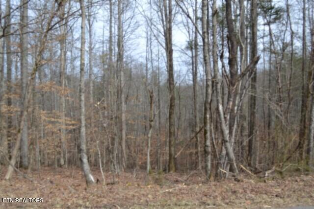 87 Boles Road Hilham, TN 38568 - Photo 19 of 46 DSC_0117