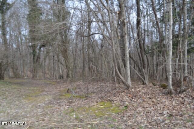 87 Boles Road Hilham, TN 38568 - Photo 20 of 46 DSC_0118