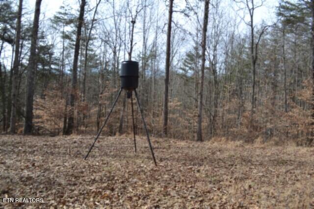 87 Boles Road Hilham, TN 38568 - Photo 2 of 46 DSC_0068