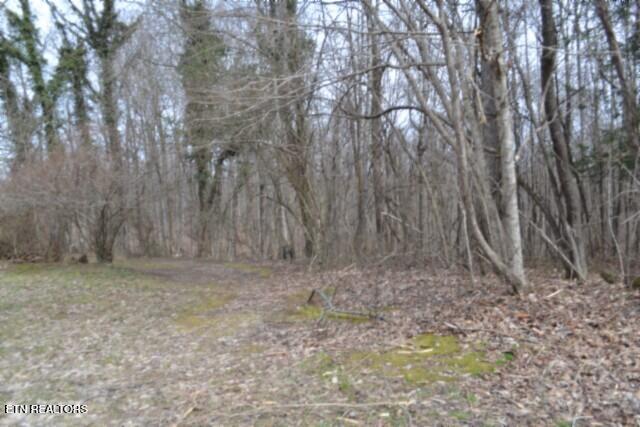 87 Boles Road Hilham, TN 38568 - Photo 21 of 46 DSC_0119