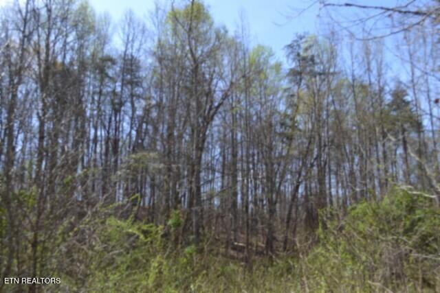 87 Boles Road Hilham, TN 38568 - Photo 21 of 49 DSC_0052