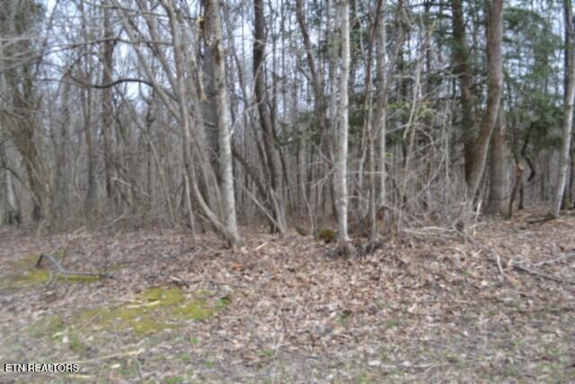 87 Boles Road Hilham, TN 38568 - Photo 23 of 46 DSC_0123