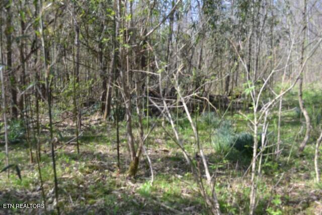 87 Boles Road Hilham, TN 38568 - Photo 23 of 49 DSC_0055