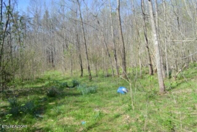 87 Boles Road Hilham, TN 38568 - Photo 24 of 49 DSC_0056