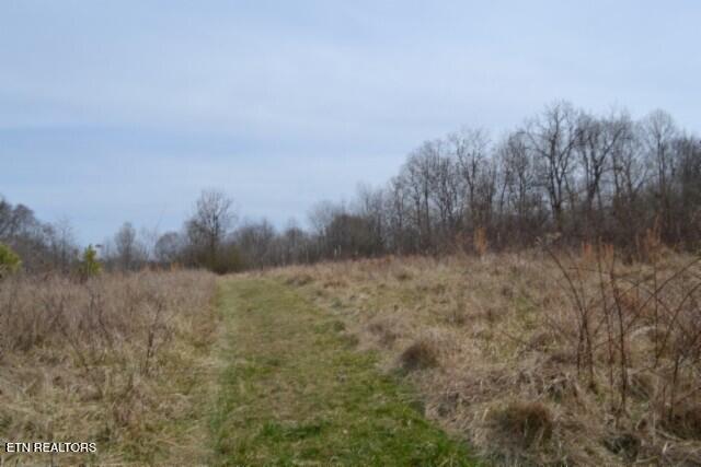 87 Boles Road Hilham, TN 38568 - Photo 26 of 46 DSC_0136