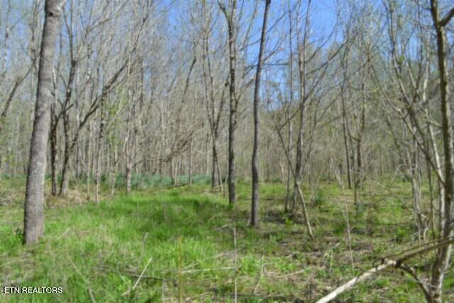 87 Boles Road Hilham, TN 38568 - Photo 26 of 49 DSC_0058