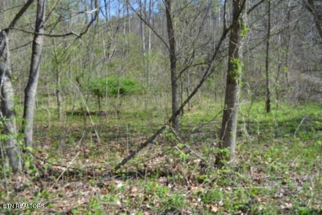 87 Boles Road Hilham, TN 38568 - Photo 27 of 49 DSC_0066
