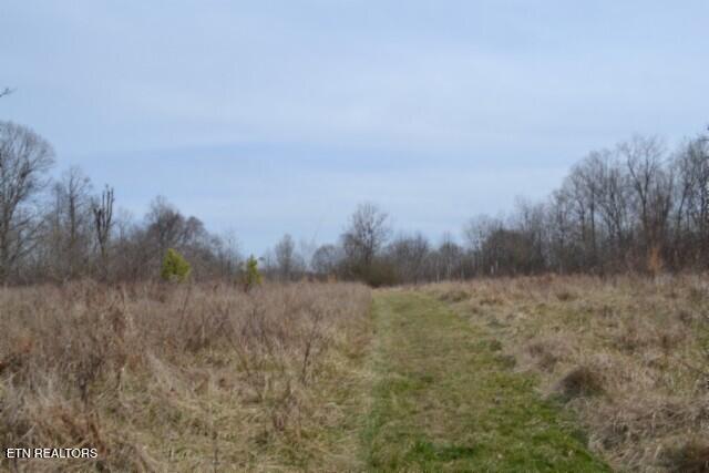 87 Boles Road Hilham, TN 38568 - Photo 27 of 46 DSC_0137