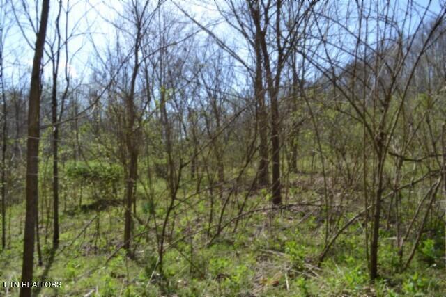 87 Boles Road Hilham, TN 38568 - Photo 28 of 49 DSC_0067