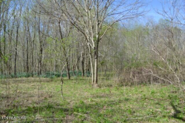 87 Boles Road Hilham, TN 38568 - Photo 29 of 49 DSC_0068