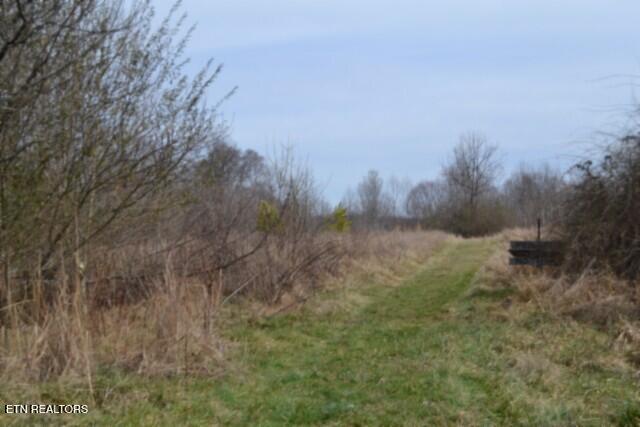 87 Boles Road Hilham, TN 38568 - Photo 29 of 46 DSC_0139