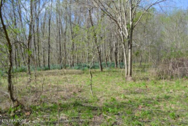 87 Boles Road Hilham, TN 38568 - Photo 30 of 49 DSC_0069