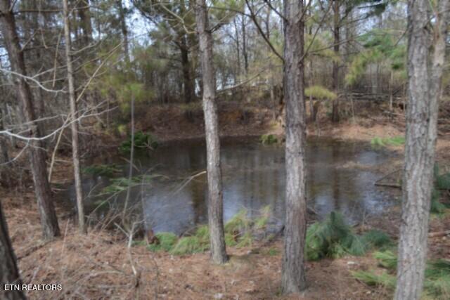 87 Boles Road Hilham, TN 38568 - Photo 30 of 46 DSC_0132