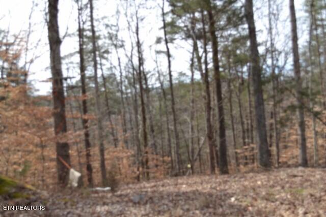 87 Boles Road Hilham, TN 38568 - Photo 3 of 46 DSC_0069