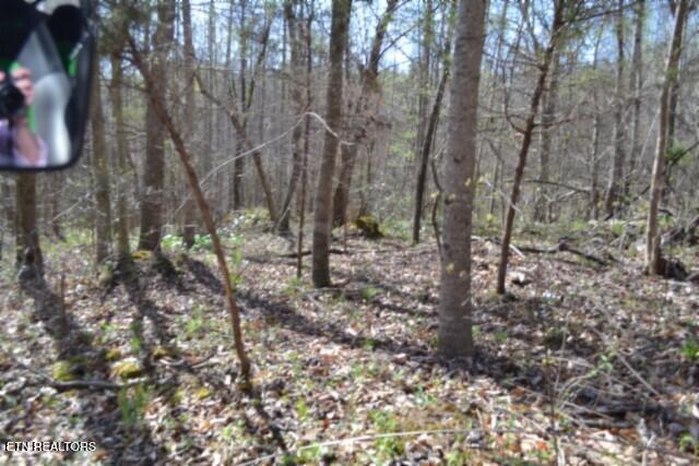 87 Boles Road Hilham, TN 38568 - Photo 3 of 49 DSC_0011