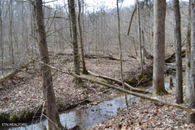 87 Boles Road Hilham, TN 38568 - Photo 31 of 46 DSC_0087