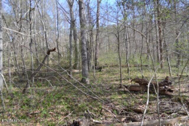 87 Boles Road Hilham, TN 38568 - Photo 31 of 49 DSC_0070