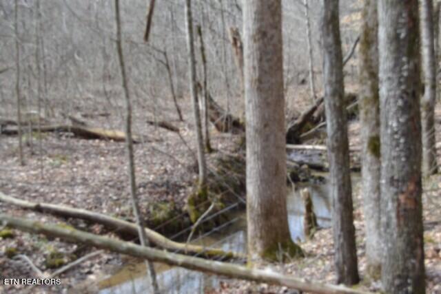 87 Boles Road Hilham, TN 38568 - Photo 32 of 46 DSC_0086