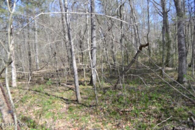 87 Boles Road Hilham, TN 38568 - Photo 32 of 49 DSC_0071