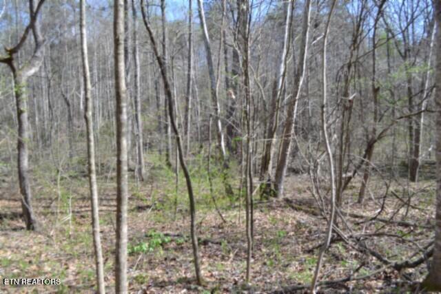 87 Boles Road Hilham, TN 38568 - Photo 33 of 49 DSC_0072