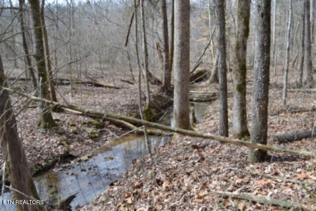 87 Boles Road Hilham, TN 38568 - Photo 33 of 46 DSC_0084