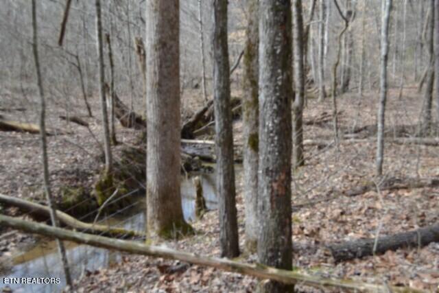 87 Boles Road Hilham, TN 38568 - Photo 34 of 46 DSC_0085