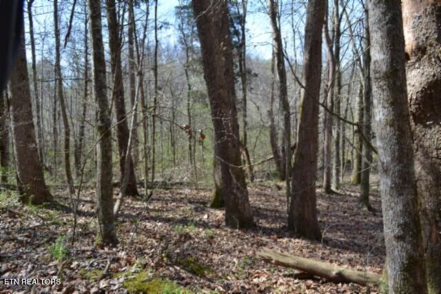 87 Boles Road Hilham, TN 38568 - Photo 34 of 49 DSC_0073