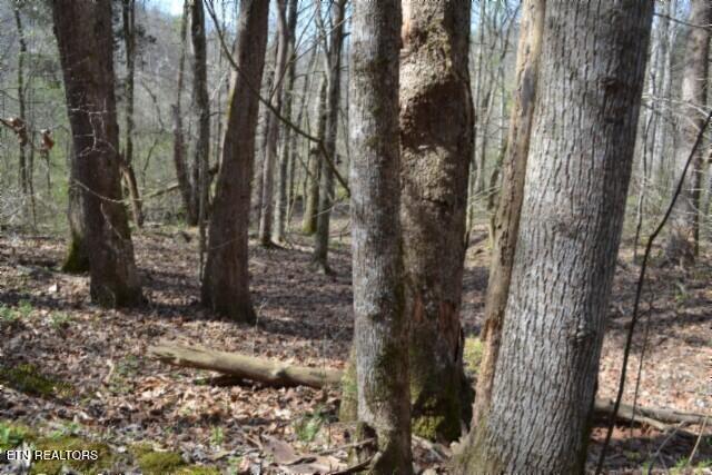 87 Boles Road Hilham, TN 38568 - Photo 35 of 49 DSC_0074
