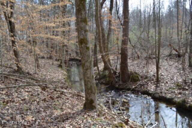 87 Boles Road Hilham, TN 38568 - Photo 36 of 46 DSC_0090