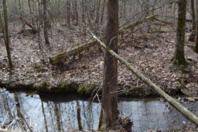 87 Boles Road Hilham, TN 38568 - Photo 37 of 46 DSC_0091