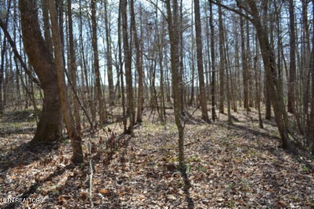 87 Boles Road Hilham, TN 38568 - Photo 37 of 49 DSC_0083