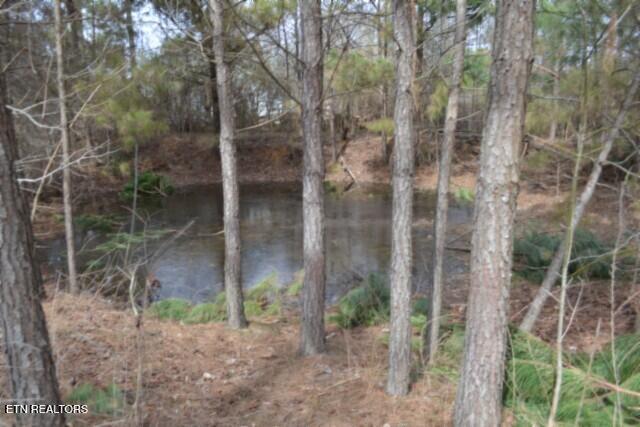 87 Boles Road Hilham, TN 38568 - Photo 38 of 46 DSC_0133