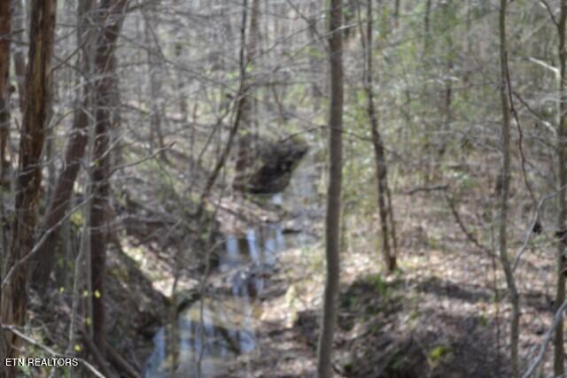 87 Boles Road Hilham, TN 38568 - Photo 39 of 49 DSC_0086