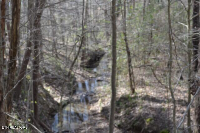 87 Boles Road Hilham, TN 38568 - Photo 40 of 49 DSC_0087