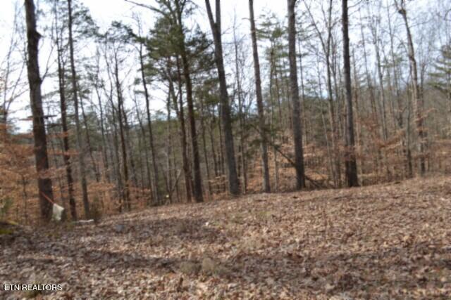 87 Boles Road Hilham, TN 38568 - Photo 4 of 46 DSC_0070