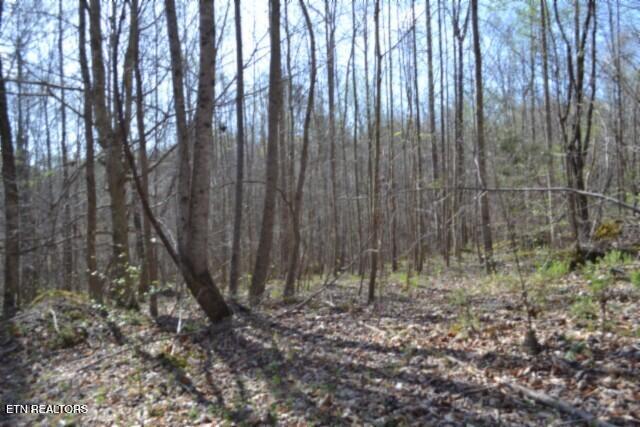 87 Boles Road Hilham, TN 38568 - Photo 4 of 49 DSC_0013