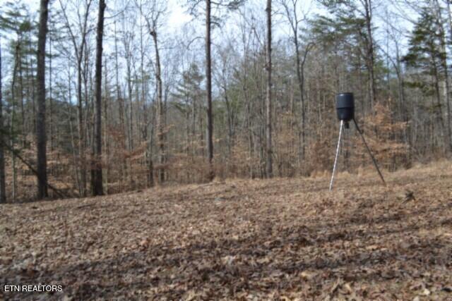 87 Boles Road Hilham, TN 38568 - Photo 5 of 46 DSC_0071