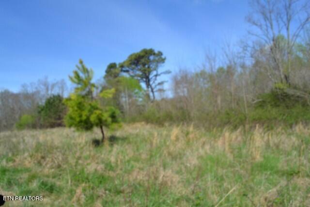87 Boles Road Hilham, TN 38568 - Photo 5 of 49 DSC_0014