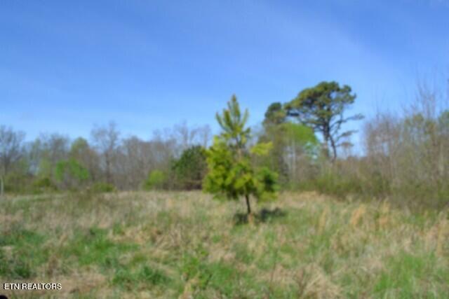 87 Boles Road Hilham, TN 38568 - Photo 6 of 49 DSC_0015