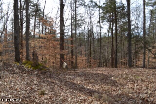 87 Boles Road Hilham, TN 38568 - Photo 6 of 46 DSC_0072