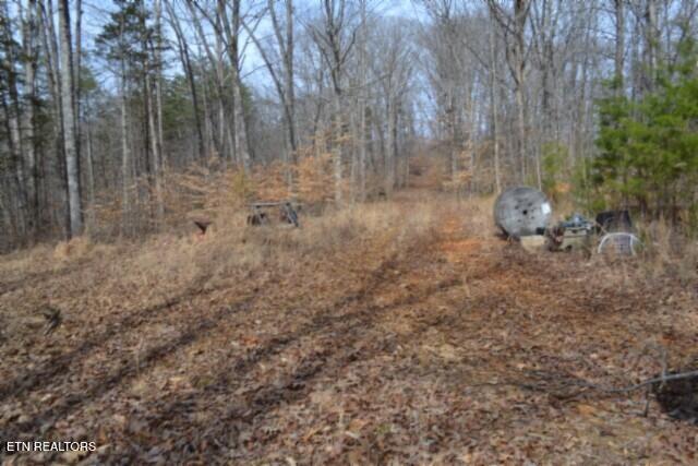 87 Boles Road Hilham, TN 38568 - Photo 7 of 46 DSC_0073