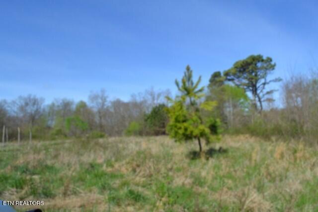 87 Boles Road Hilham, TN 38568 - Photo 7 of 49 DSC_0016