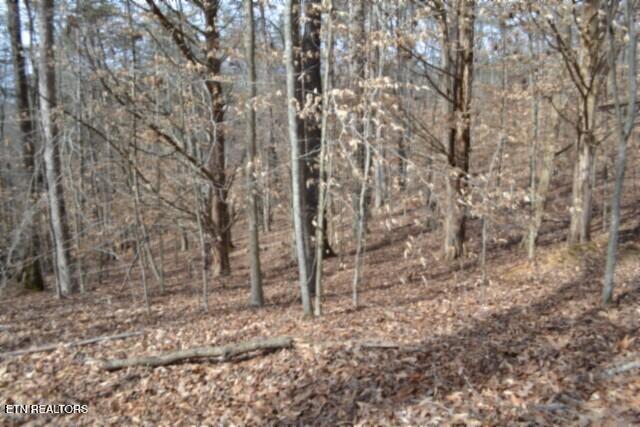 87 Boles Road Hilham, TN 38568 - Photo 8 of 46 DSC_0074