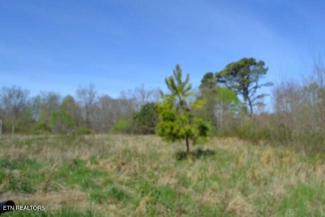 87 Boles Road Hilham, TN 38568 - Photo 8 of 49 DSC_0017