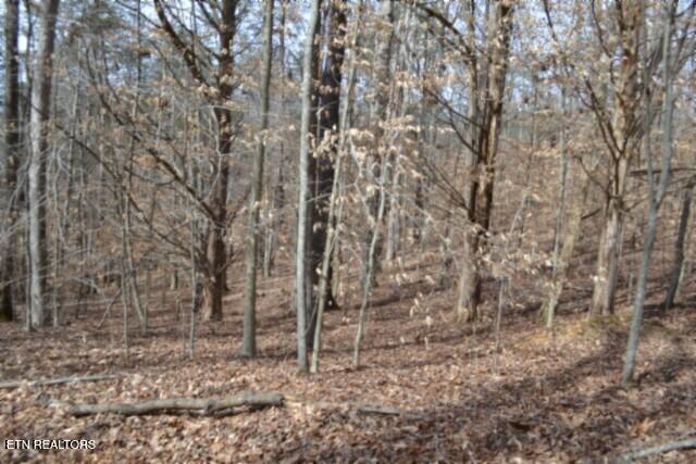 87 Boles Road Hilham, TN 38568 - Photo 9 of 46 DSC_0075