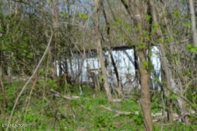 87 Boles Road Hilham, TN 38568 - Photo 9 of 49 DSC_0025