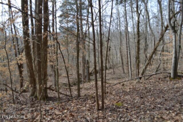 87 Boles Road Hilham, TN 38568 - Photo 10 of 46 DSC_0100