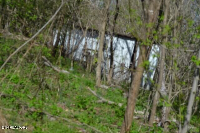 87 Boles Road Hilham, TN 38568 - Photo 10 of 49 DSC_0027