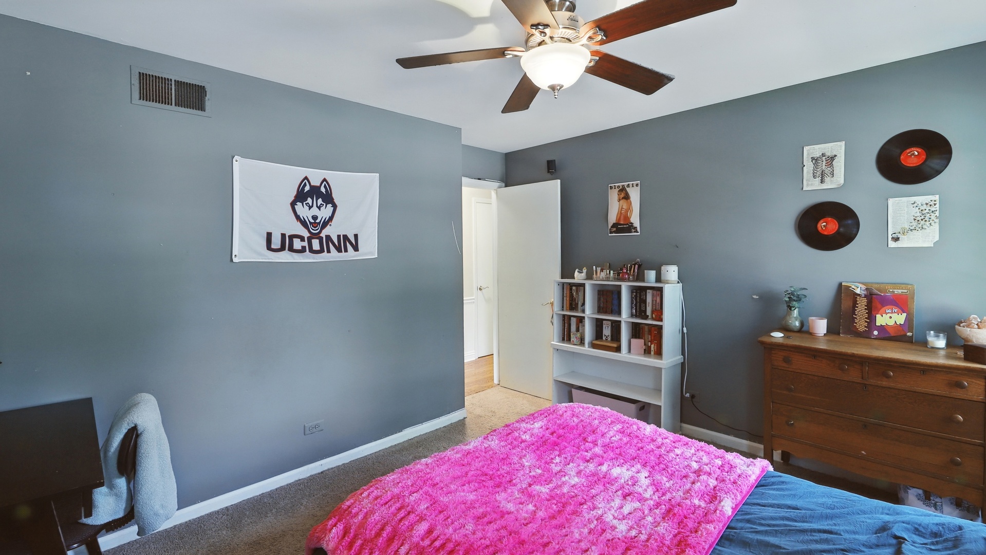 533 Warwick Drive Naperville, IL 60565 - Photo 14 of 25