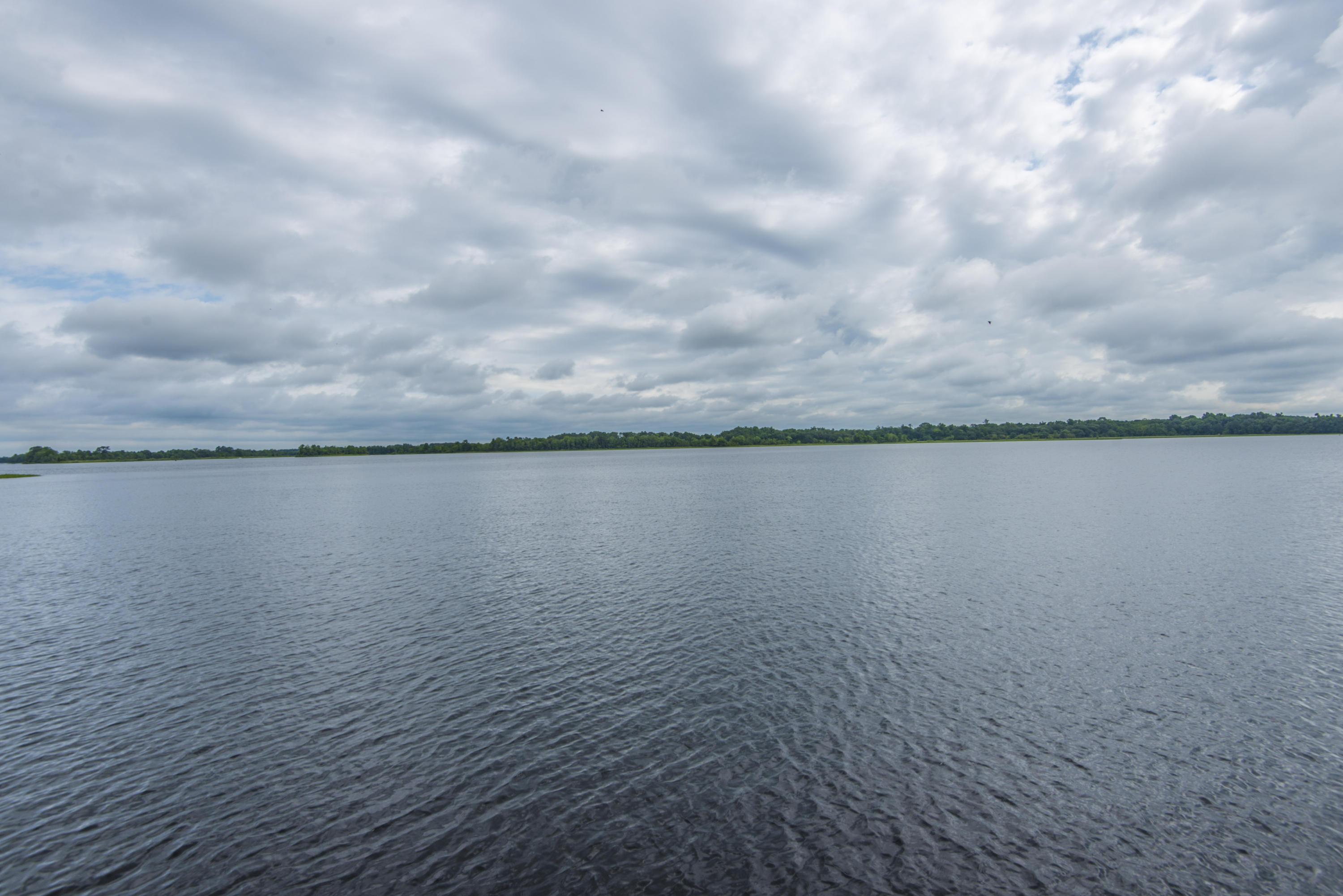 1811 Perch Road Moncks Corner, SC 29461 - Photo 13 of 60 _DSC5461